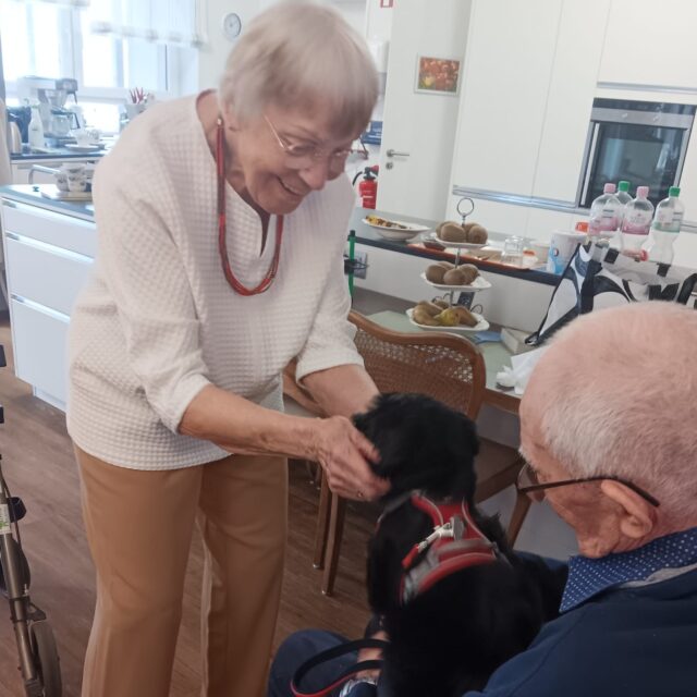 Hühnerküken und ein Hundewelpe zu Besuch bei den Bewohnern im Witte Hüs (13.7.2025)