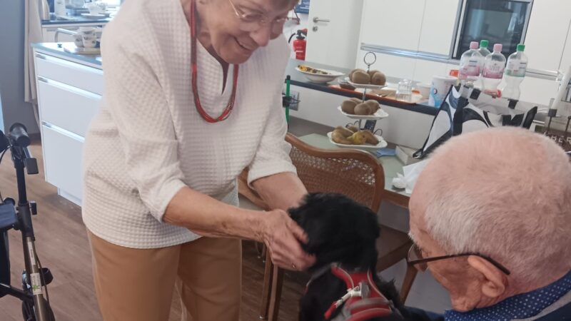 Hühnerküken und ein Hundewelpe zu Besuch bei den Bewohnern im Witte Hüs (13.7.2025)