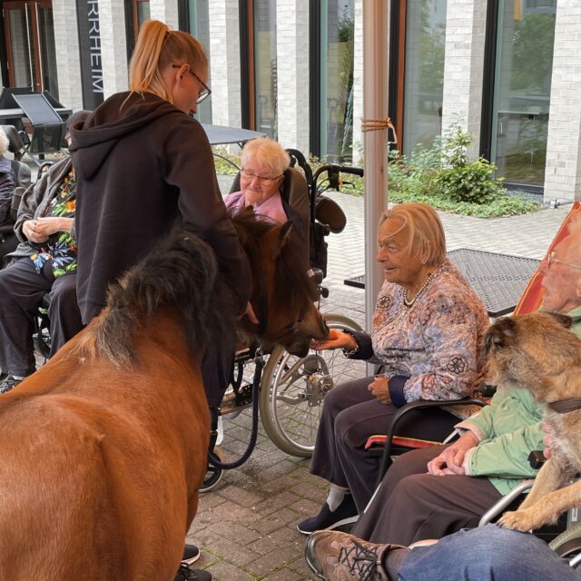 Besuch von 3 Ponys vom Spat Therapiezentrum im Innenhof und teils auch auf den Wohnbereichen (18.9.2025)