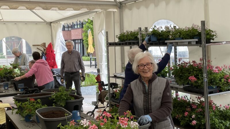 Bepflanzung der Blumenkästen mit Bewohnern und Ehrenamtlichen (20.5.2026)