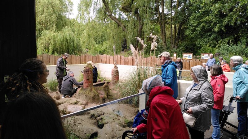 Besuch im Tiergarten Kleve (10.6.2026)