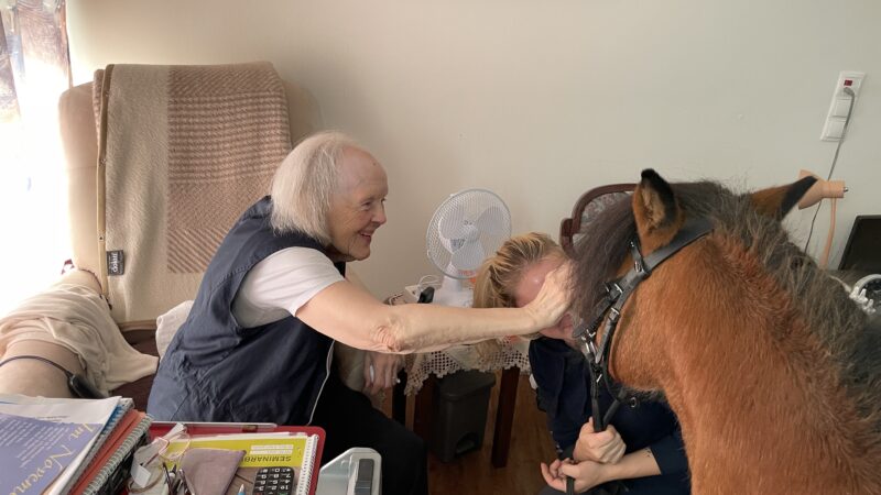 Ponybesuch vom SPAT Reit- und Therapiezentrum e.V. (9.9.2026)